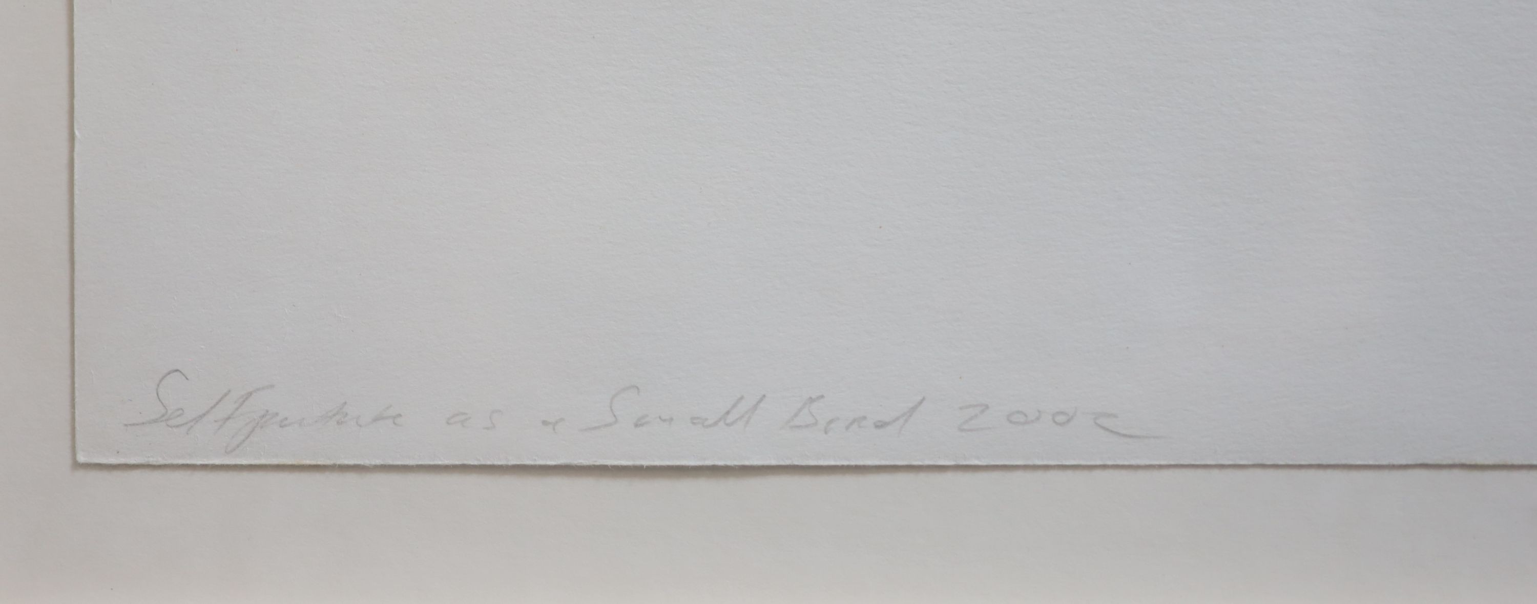 Tracy Emin (1963-), Self portrait as a small bird, etching on wove, 27.5 x 33cm.